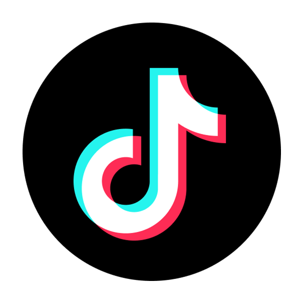 TikTok - FollowUP ინტეგრაცია